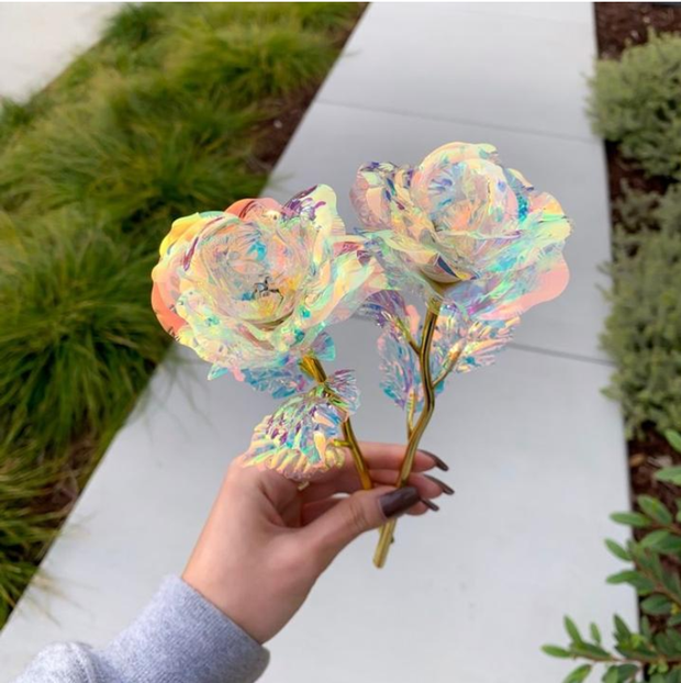 Galaxy Rose