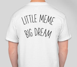 Kishu Inu - Little Meme Big Dream